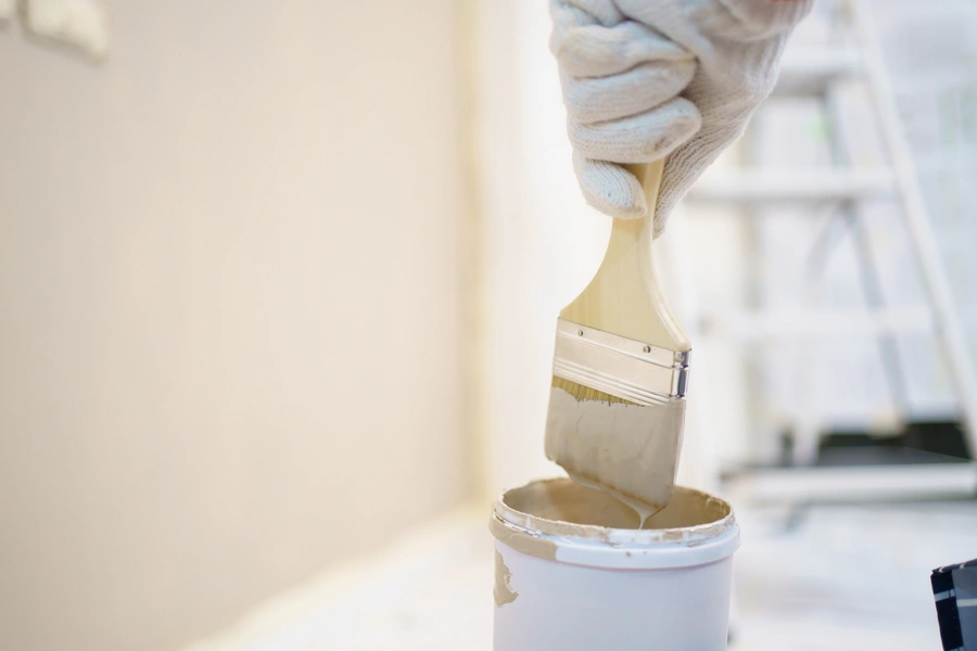 Premium House Painting Bronx NY